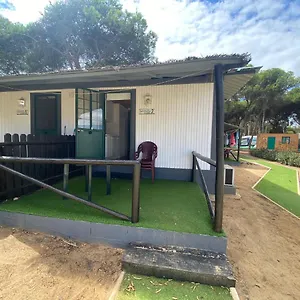 https://camping-giralda.es-andalucia.com