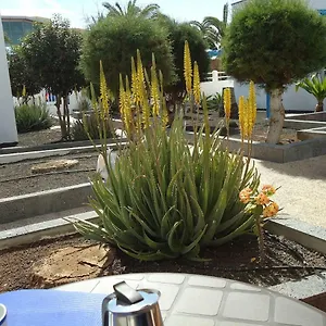 https://apart10a.hotelsfuerteventura.org